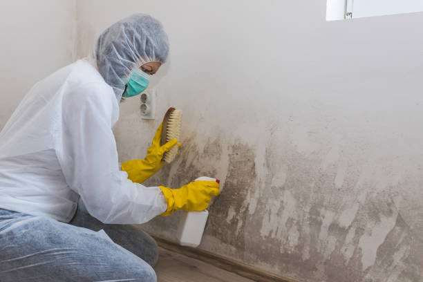 Best Residential Mold Inspection & Testing  in Baraga, MI