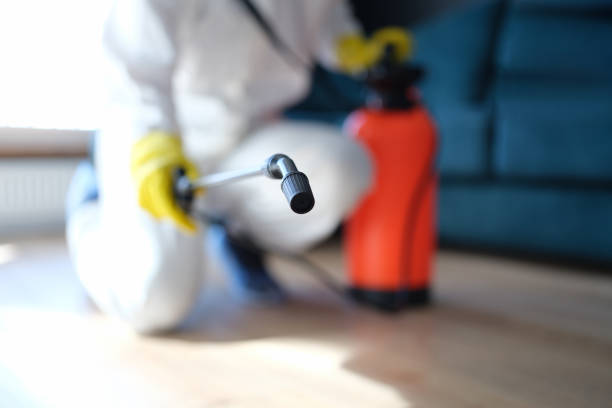 Best Basement Mold Removal  in Baraga, MI