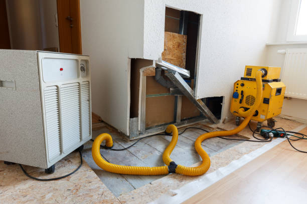 Biohazard Mold Removal in Baraga, MI