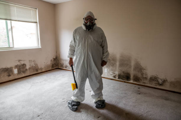 Best Mold Remediation for Rental Properties  in Baraga, MI